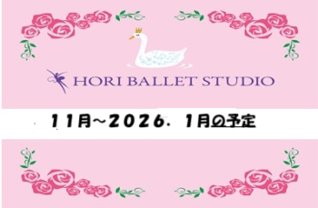 １１月～２０２６年１月の予定　
